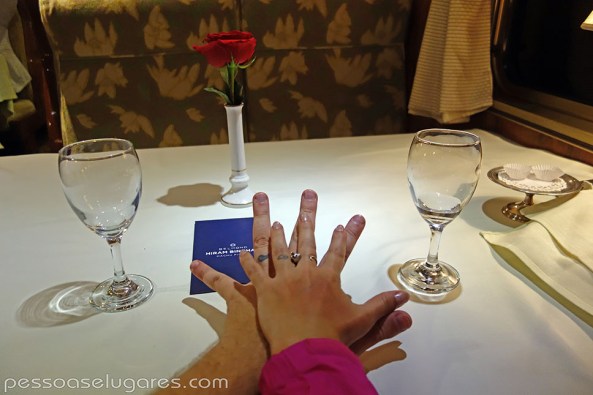 Hiran-Binghan-Train-Peru-pessoaselugares.com-2