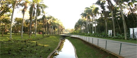 Alameda Fernando Costa