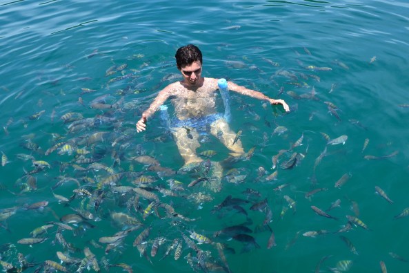 Ilha-Comprida-Paraty (13)