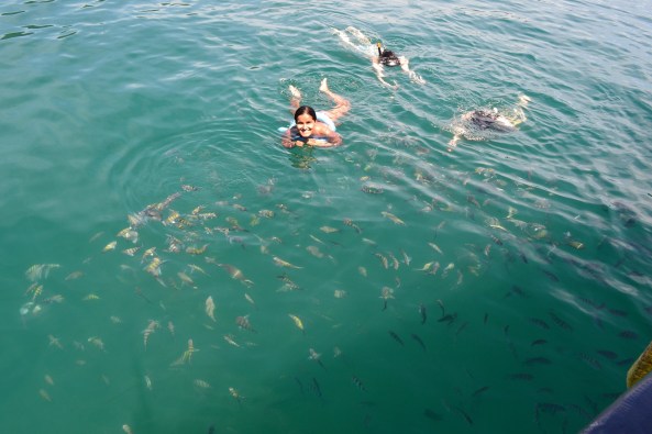 Ilha-Comprida-Paraty (6)