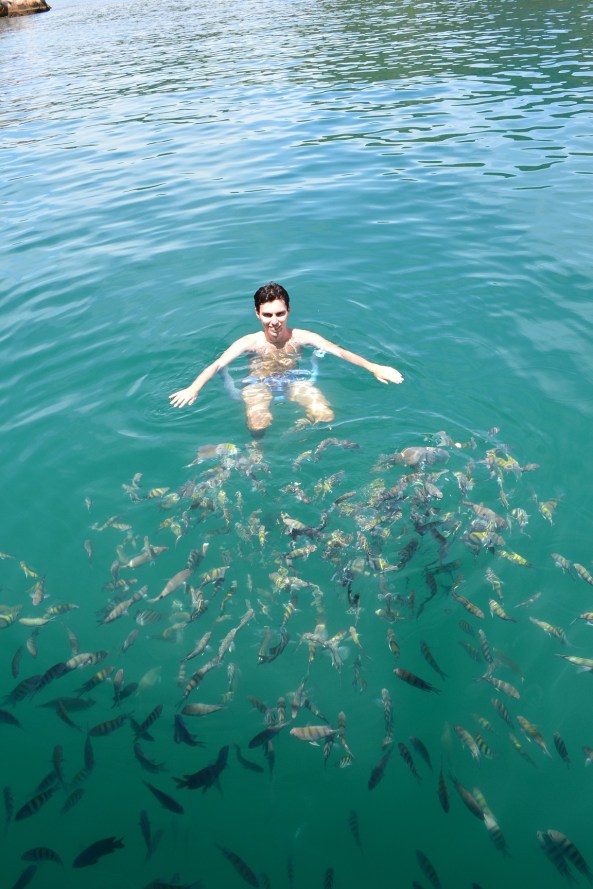 Ilha-Comprida-Paraty (7)