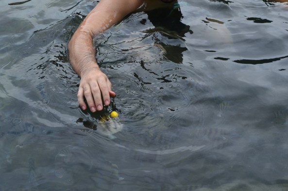 Piscina Natural Caixa D'aço (16)