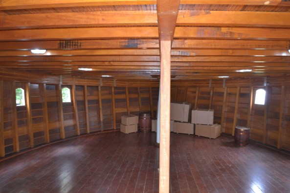 Parque Taquaral (28)