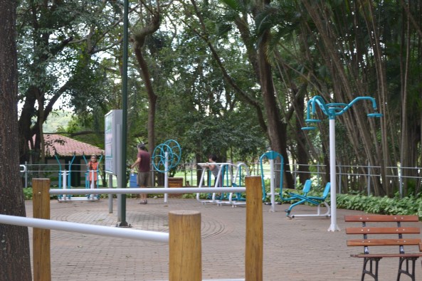 Parque Taquaral (33)