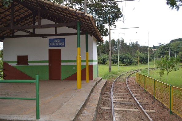 Parque Taquaral (57)