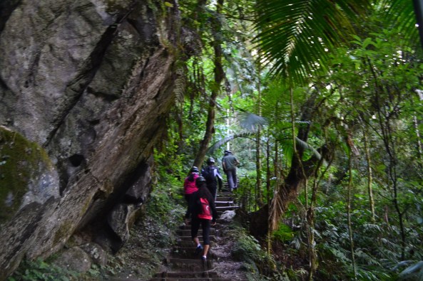 1 - Trilha do Morro Preto (11)