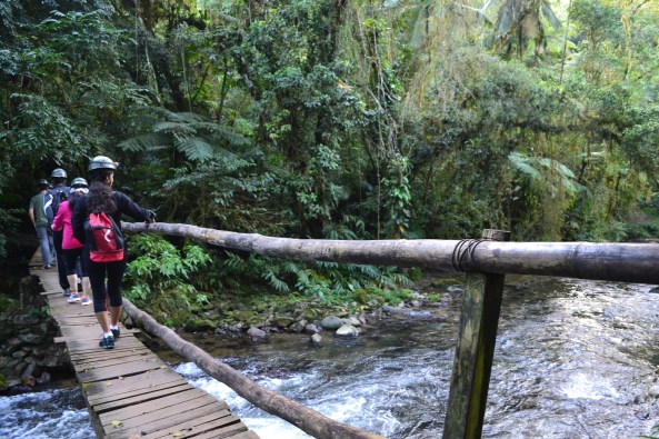 1 - Trilha do Morro Preto (3)