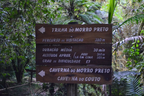 1 - Trilha do Morro Preto (6)