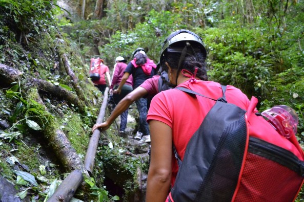 4 - Trilha Rio Betary (15)