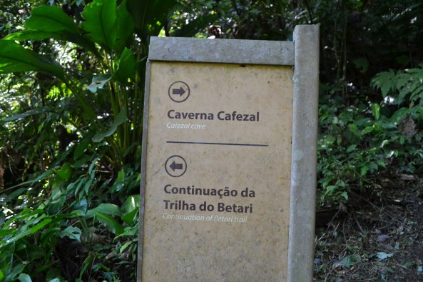 4 - Trilha Rio Betary (26)