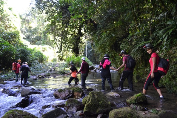 4 - Trilha Rio Betary (34)