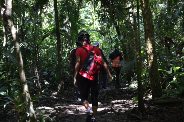 4 - Trilha Rio Betary (37)