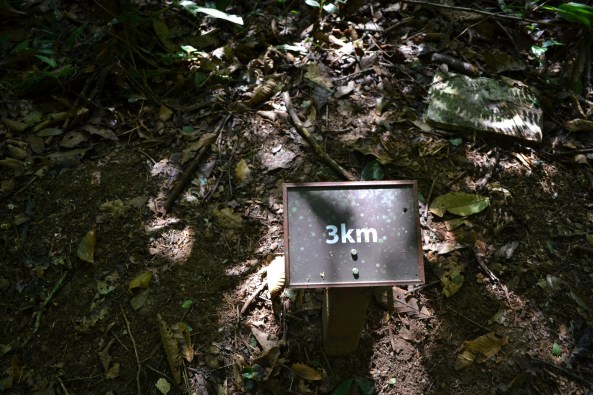 4 - Trilha Rio Betary (47)