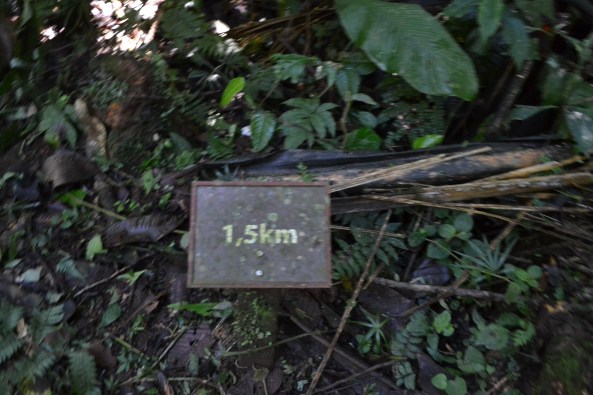 4 - Trilha Rio Betary (5)