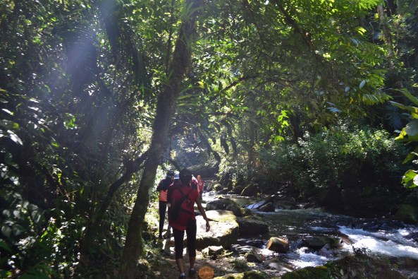 4 - Trilha Rio Betary (65)