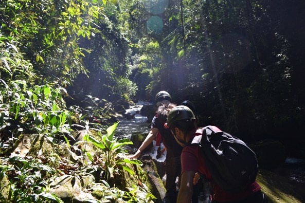 4 - Trilha Rio Betary (96)