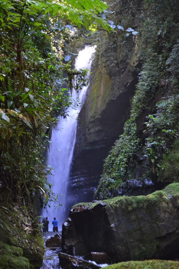 5 - Cachoeira Andorinha (2)