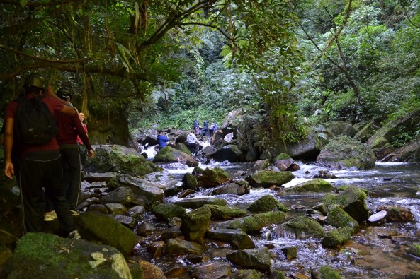 6 - Cachoeira do Beija-Flor (5)