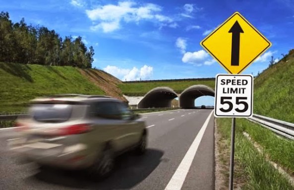 como-dirigir-eua-miami-leis