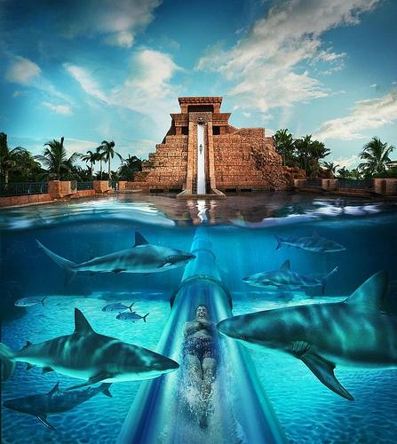12 - aquaventure-water-park