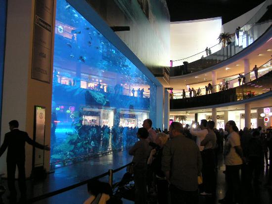 24 - Dubai Aquarium & Underwater Zoo