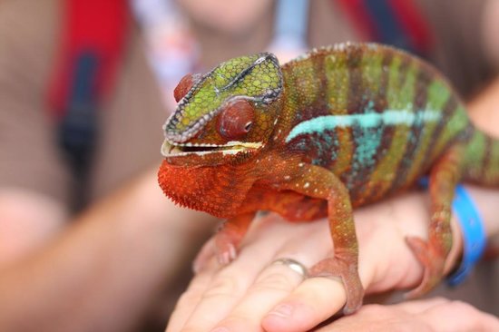 7 - aquaworld-aquarium