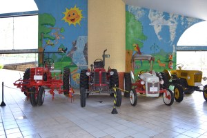 Parque Walter World (47)