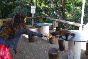 Poços de Caldas (19)