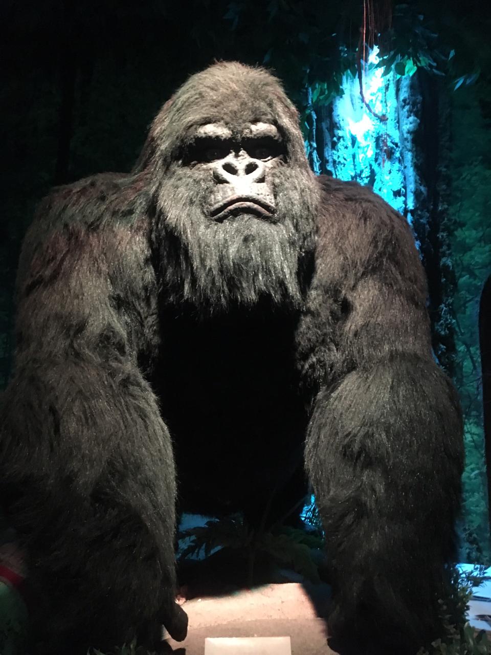 Kongo Pizzaria - Gramado - RS (25)